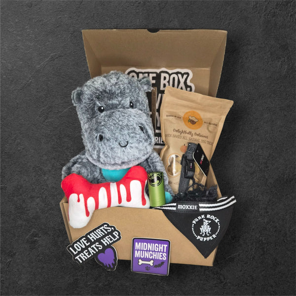 🐾 Nina & Friends – Medium Dog Box (Rocker Edition) 🐾