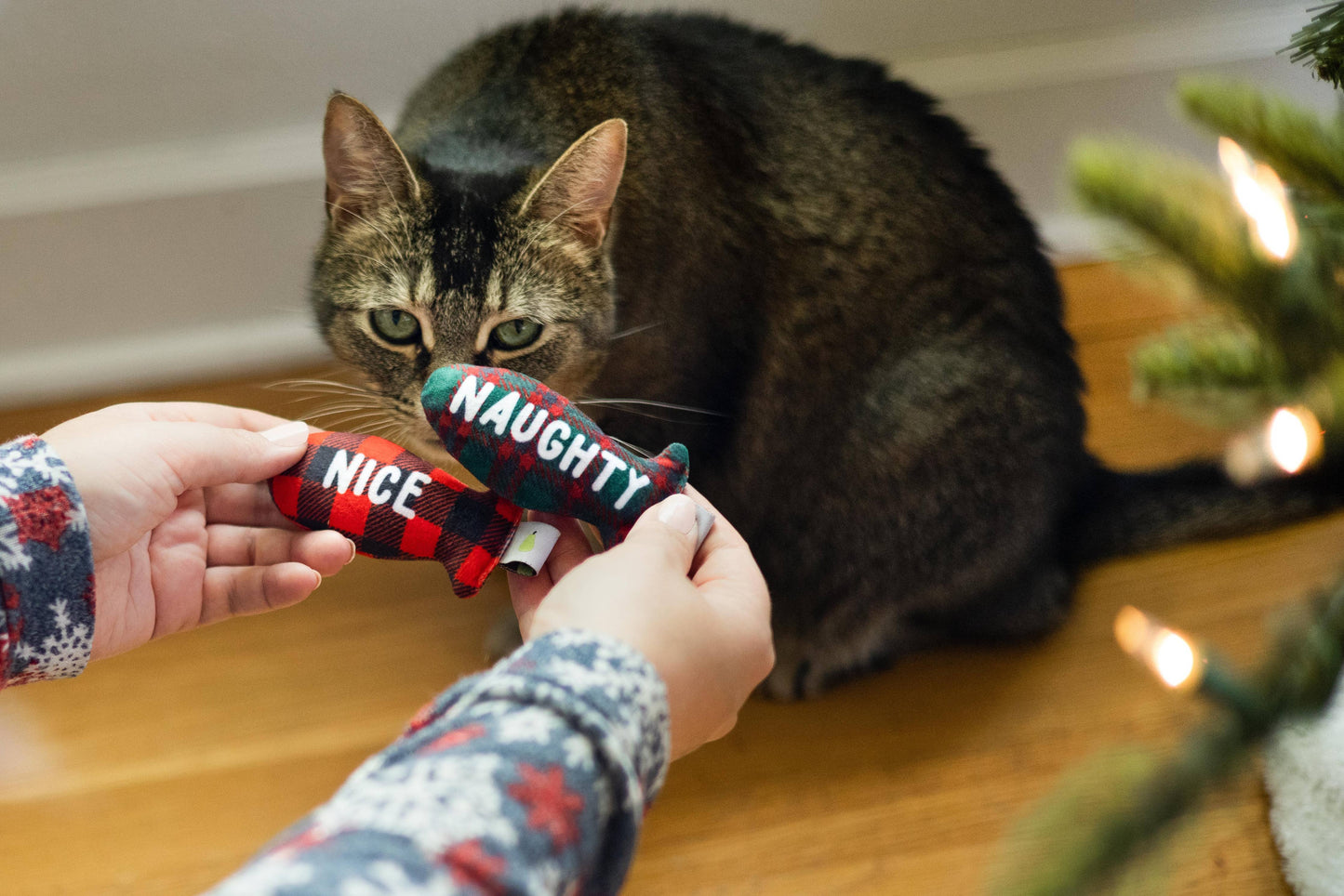 Christmas Naughty & Nice Cat Toys, Set of 2, Holiday Gift