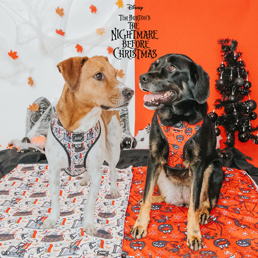 Reversible Harness - The Nightmare Before Christmas™