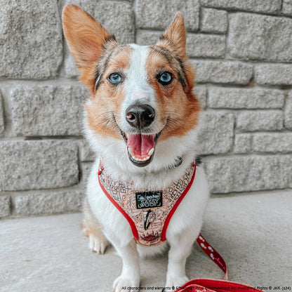 Dog Adjustable Harness - Harry Potter™ Marauder's Map™