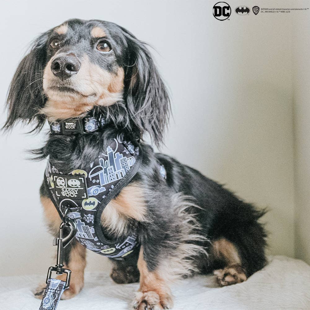 Dog Adjustable Harness - Batman™