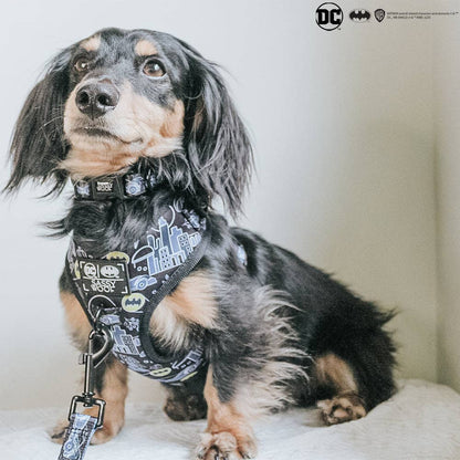 Dog Adjustable Harness - Batman™