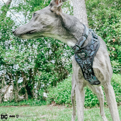 Dog Adjustable Harness - Batman™