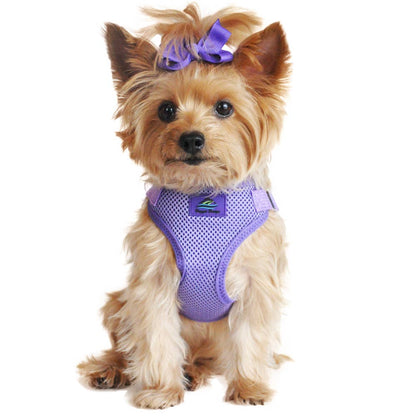Wrap & Snap Choke Free Dog Harness - Paisley Purple