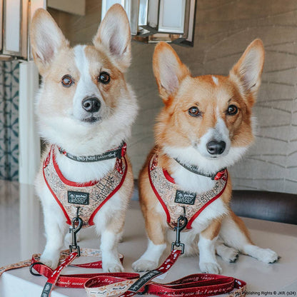 Dog Adjustable Harness - Harry Potter™ Marauder's Map™