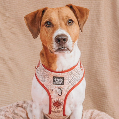 Dog Adjustable Harness - Harry Potter™ Marauder's Map™