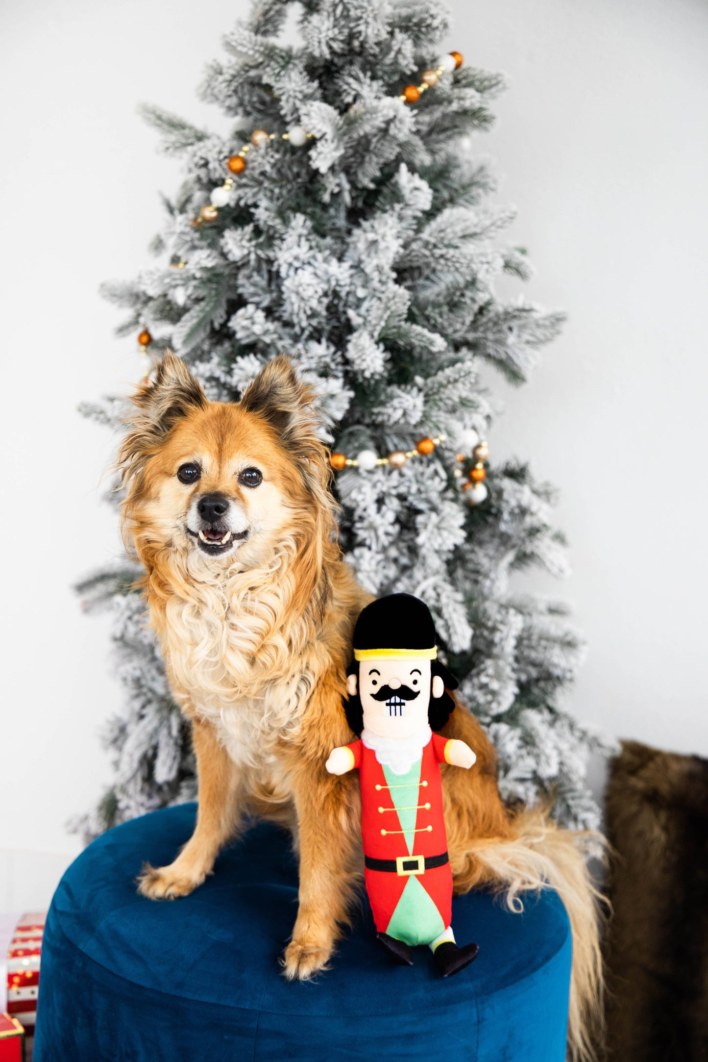 Muttcracker Holiday And Christmas Dog Toy
