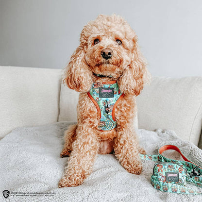 Dog Adjustable Harness - Scooby-Doo™