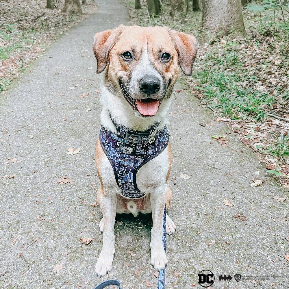 Dog Adjustable Harness - Batman™