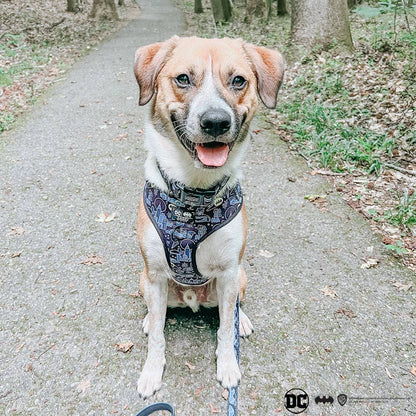 Dog Adjustable Harness - Batman™