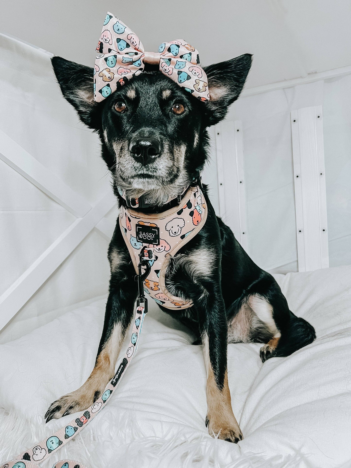 Dog Adjustable Harness - Mixed With Love