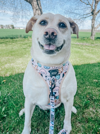 Dog Adjustable Harness - Mixed With Love