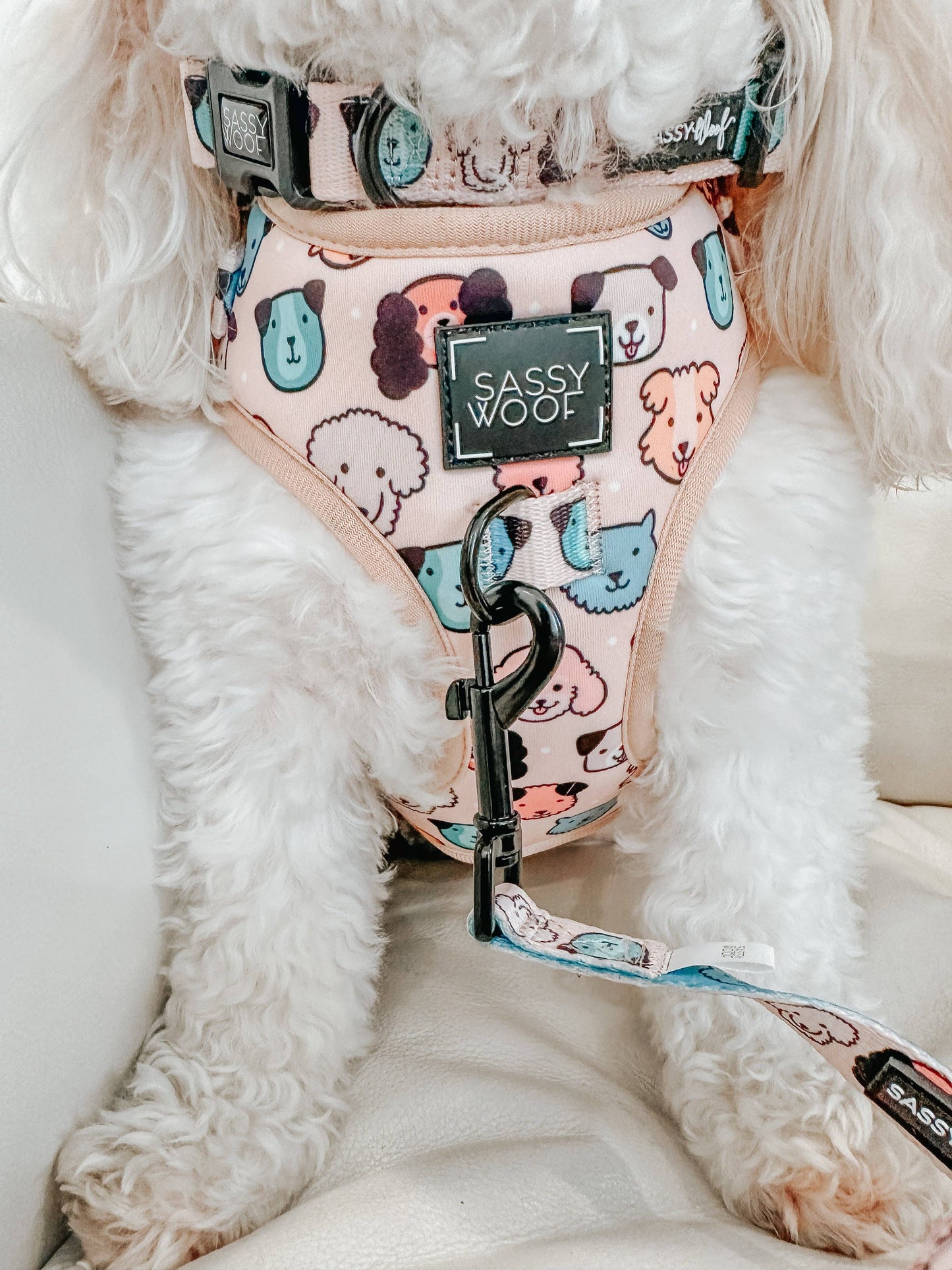 Dog Adjustable Harness - Mixed With Love