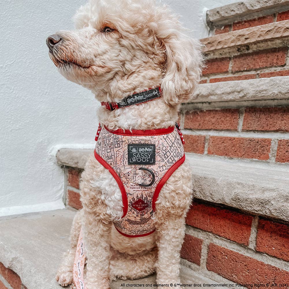 Dog Adjustable Harness - Harry Potter™ Marauder's Map™