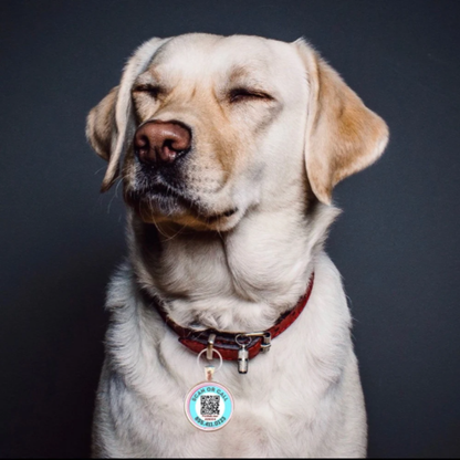 Scannable Pet ID Tag with Free Pet Profile &Lost Pet Hotline