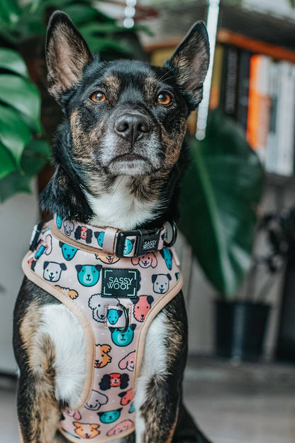 Dog Adjustable Harness - Mixed With Love