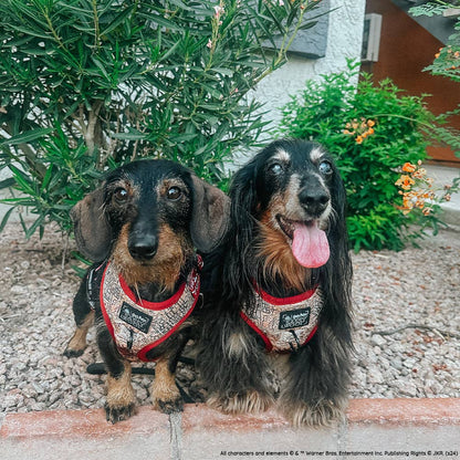 Dog Adjustable Harness - Harry Potter™ Marauder's Map™