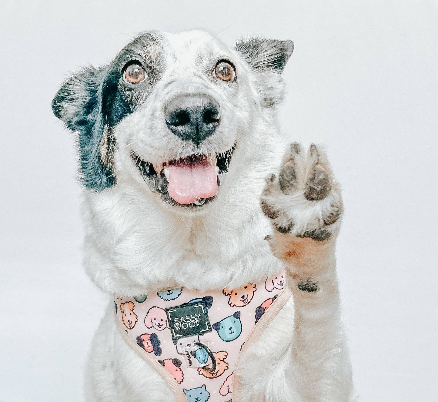 Dog Adjustable Harness - Mixed With Love