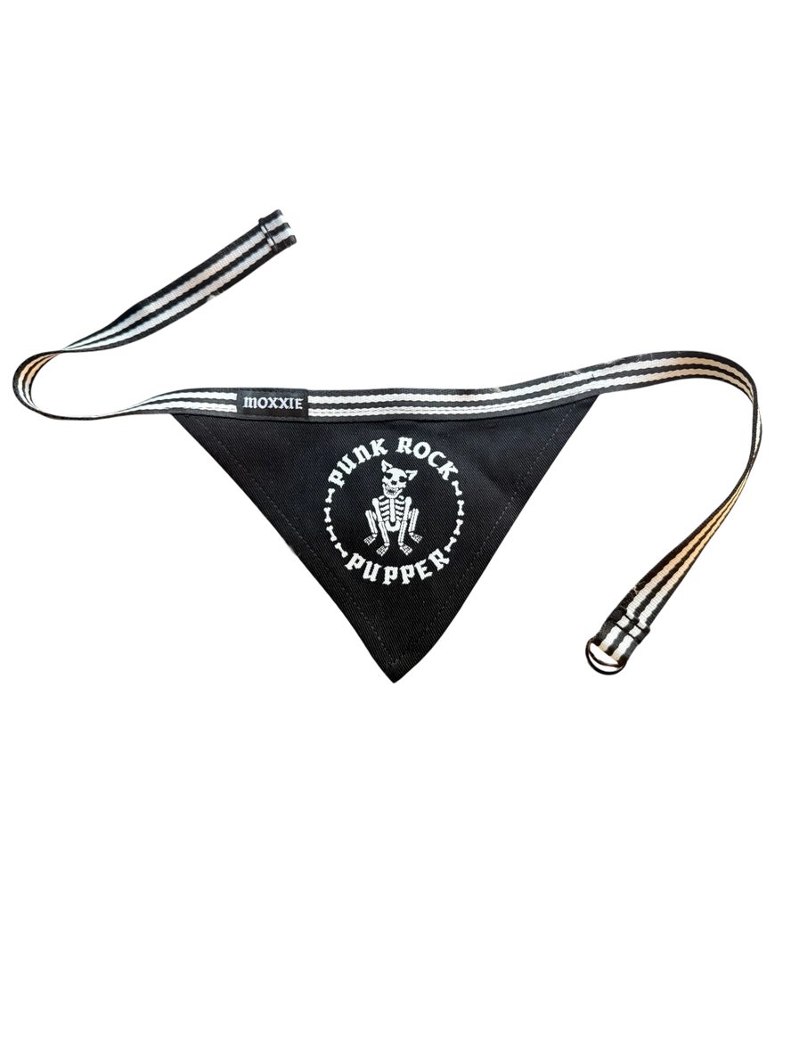 🐾 Nina & Friends – Small Dog Box (Rocker Edition) 🐾