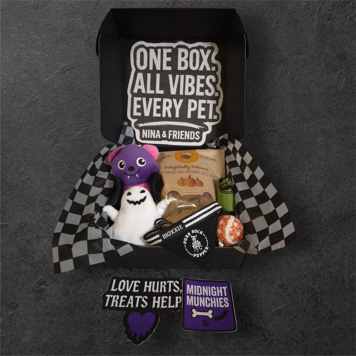 🐾 Nina & Friends – Small Dog Box (Rocker Edition) 🐾