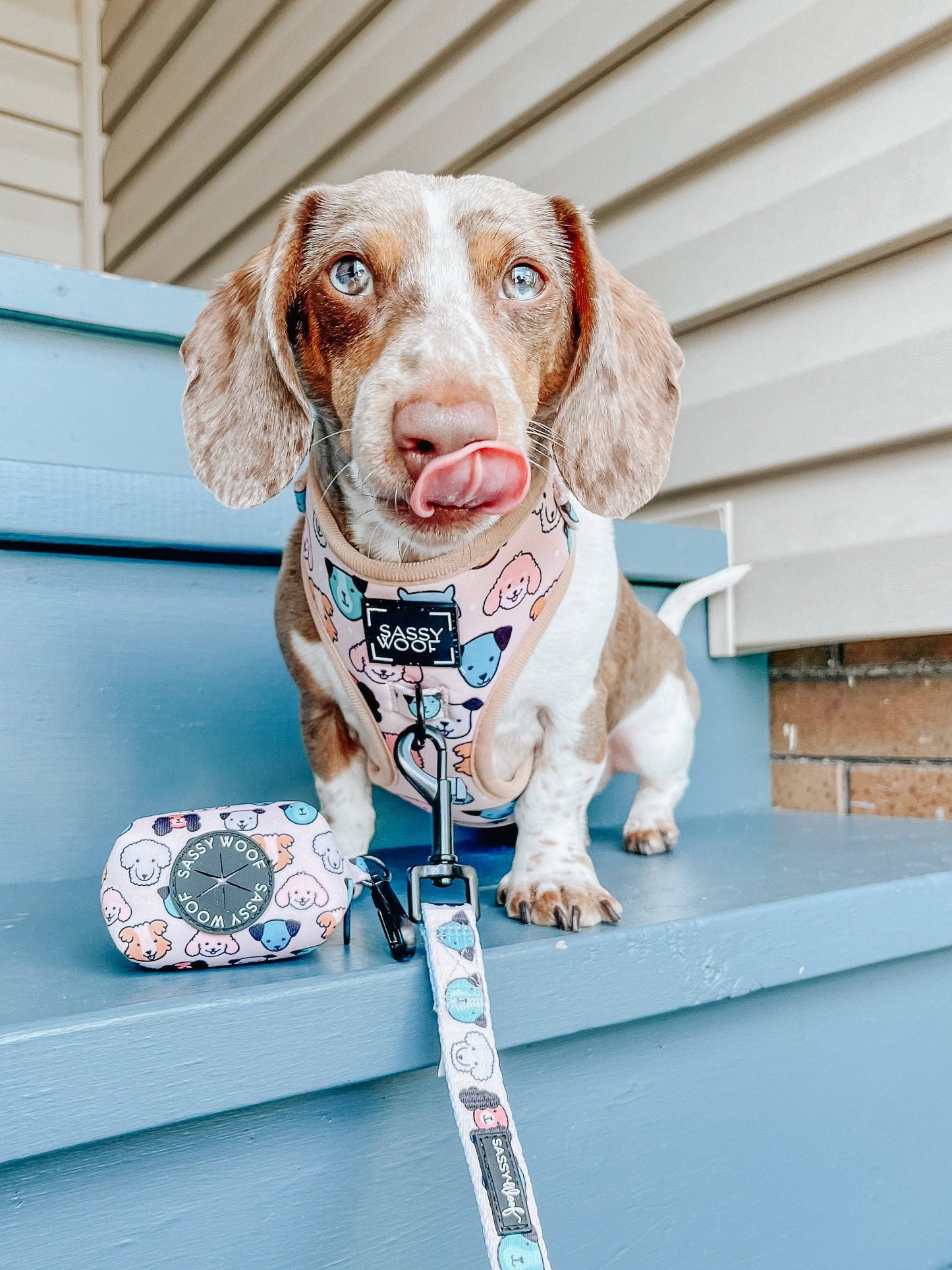 Dog Adjustable Harness - Mixed With Love