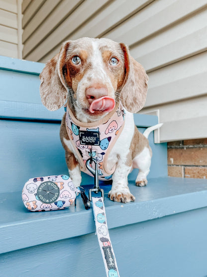 Dog Adjustable Harness - Mixed With Love