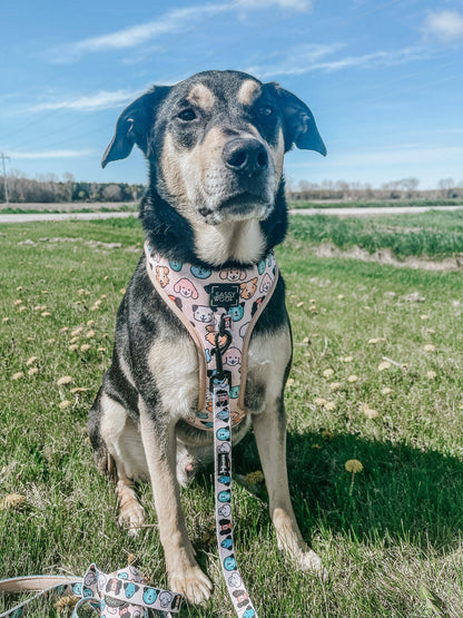 Dog Adjustable Harness - Mixed With Love