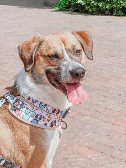 Dog Adjustable Harness - Mixed With Love
