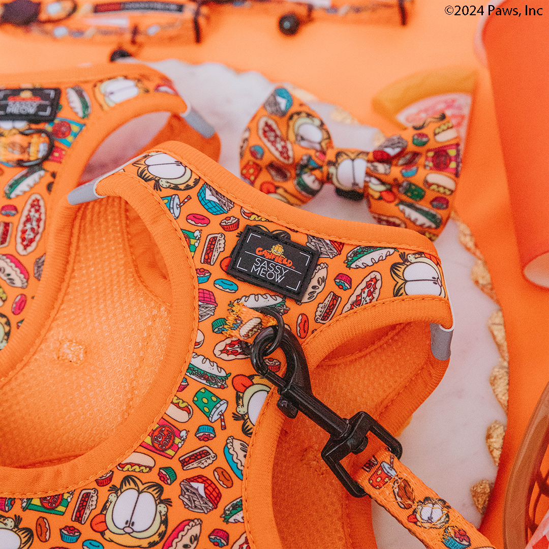 Cat Step-In Harness - Garfield