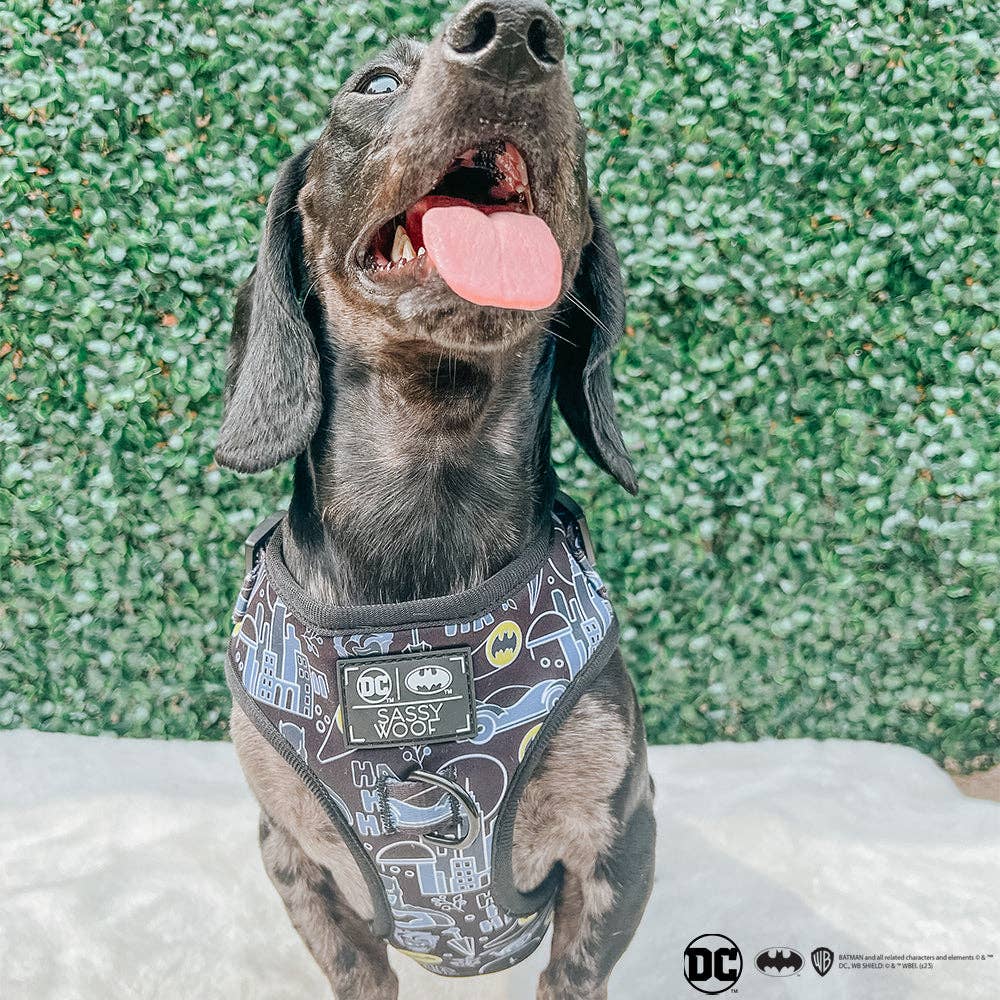 Dog Adjustable Harness - Batman™