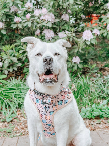 Dog Adjustable Harness - Mixed With Love